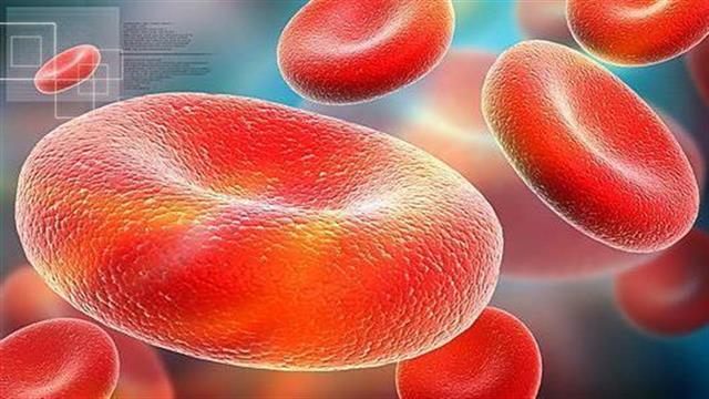 ΠΙΣ: Μεγάλη ανάγκη για αίμα